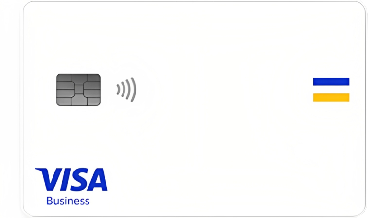 Visa Business card