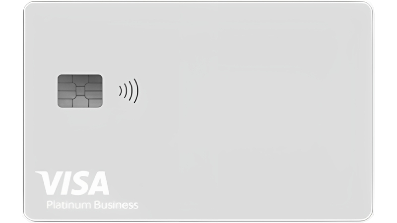 Visa Platinum Business card